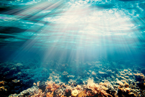 Underwater Underwater